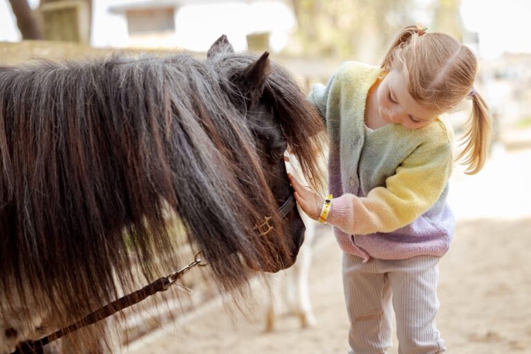Mädchen streichelt ein Mini-Pony beim PreunerWirt
